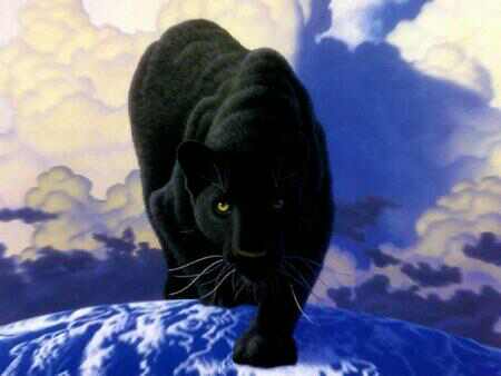 Black panther on snow